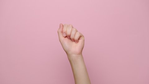  Close up of female hand knock knock knocking on camera, isolated on pink studio background with copy space for advertisement. Advertising area, mockup. Hand gesture.