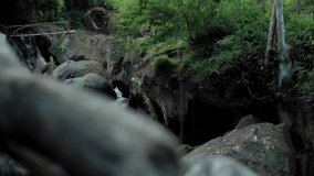 video of a jungle to a cliff on a high mountain with a rock river and green trees