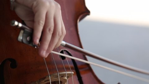 Detail of a cello with strings