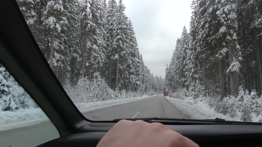 Point of view POV driving on straight countryside road between spruce forest trees with male hand on steering wheel. Winter landscape in Pokljuka plateau, Slovenia