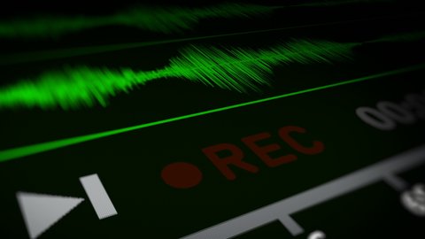Audio Spectrum with REC (Record) Symbol on Monitor Screen
