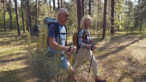 Side view of elderly sporty hikers couple on forest path with trekking poles. Portrait of healthy active senior couple traveling in woods with backpacks and hiking sticks
