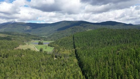 Aerial view of Canada-USA border in treeline