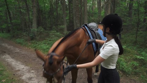 Young female get on a horse, horseback riding in the forest, summertime, horsewoman ride on a horse at a gallop, back view.
