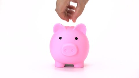 front view of hand putting coin into pig doll bank on white background  - vido 4k, 1080, fhd, full hd.  saving money on pink piggy bank isolate.
