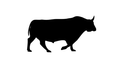 Silhouette of the walking bull, animation on the white background