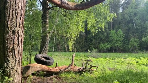 Swinging homemade tire on a tree