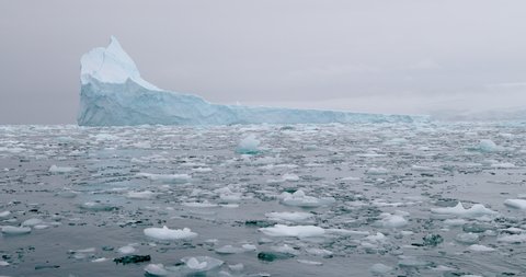 MS Iceberg and ice floes on water near Torgersen Island / Antarctic Peninsula, Antarctica