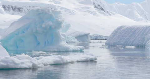 MS PAN Icebergs on water at Damoy Point / Antarctic Peninsula, Antarctica