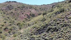 4K Video through desert mountain with cacti.