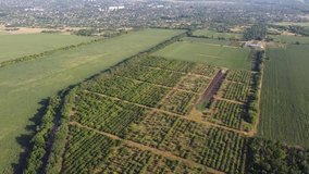 Fruit farm plantation and agricultural fields from aerial view. - Powered by Shutterstock - Get 15% off with code: PIKWIZARD15