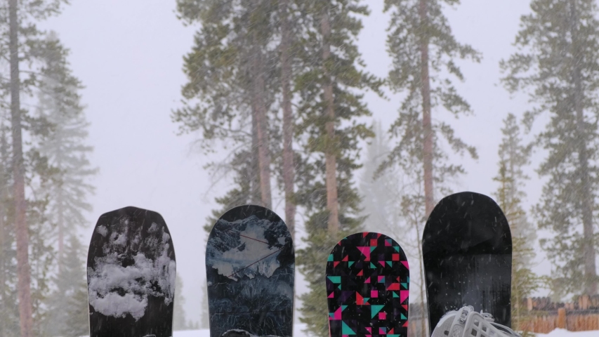 Snowy forest backdrop, four snowboards planted in the ground