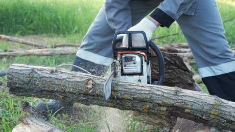 man saws a log with a chainsaw on a background of green grass.