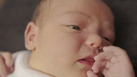 New Born Open Eyes Stock Video Footage 4k And Hd Video Clips Shutterstock