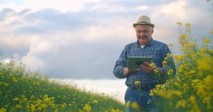 A man farmer in a hat with tablets in a field of yellow flowers looks into the distance and presses his finger on the tablet screen. Use modern technologies in agriculture