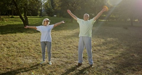 Senior couple exercising in park - elderly man and woman swinging arms together during fitness training on sunny summer day in park