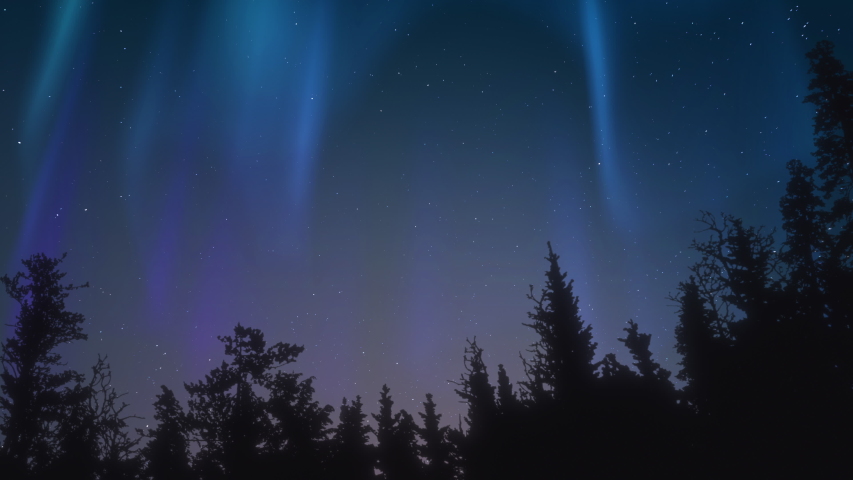 Seamless aurora boreal is phenomenon animation. Northern or polar lights footage. Spectacular landscape. Forest silhouette on the front. Night starry sky. Solar wind atmosphere effect. 4K loop clip