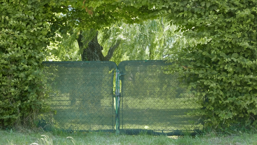 Portal surrounded by a foliage arch