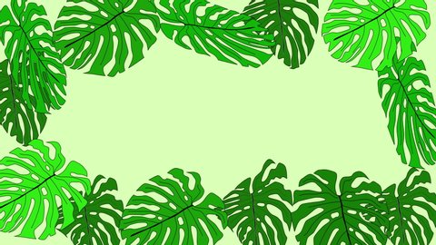 Green monstera and palm leaves forming beautiful frame and colourful background. Copy space.