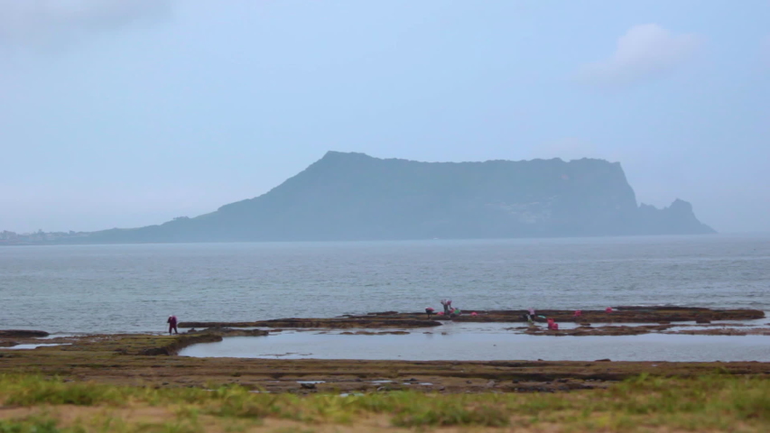 Jeju island, South Korea - May 24 : the landscape near the world heritage "Seongsan Ilchulbong Tuff Cone", with the coast line, jeju-Island, South Korea
