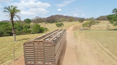 Aerial view of a truck carrying a cattle herd, written on the body in Portuguese peace of christ. Livestock feedlot farm.