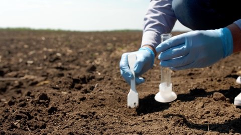 Scientist studying sample of soil in field, closeup