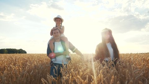 Picking The Wheat - Wheat As A Dual Crop For Biorefining Straw Quality Parameters And Their Interactions With Nitrogen Supply In Modern Elite Cultivars Jorgensen 2019 Gcb Bioenergy Wiley Online Library - Plenty of readable wheat and no chaff.