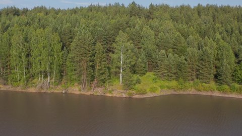 Lake and coniferous forest in the summer. view of the deep and clear lake. Spruce forest in the summer.
