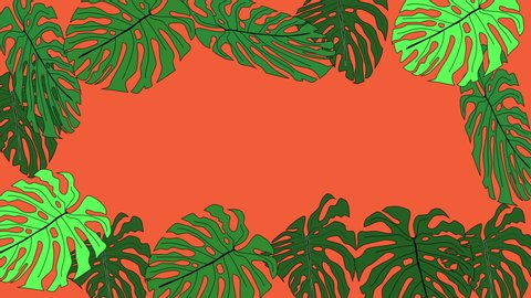 Green monstera and palm leaves forming beautiful frame and colourful green and orange pink background. Copy space.