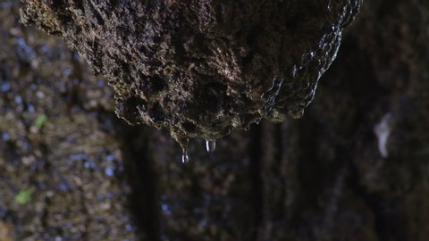 Water drops sliding through a rock in an aquatic cave gallery
