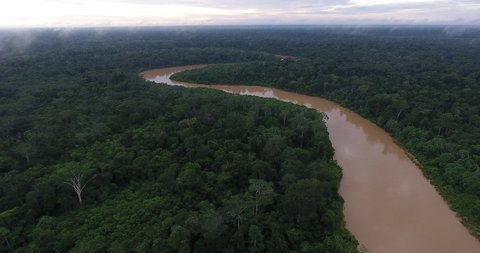 Panoramic Amazon Rainforest Stock Video Footage 4k And Hd Video Clips Shutterstock