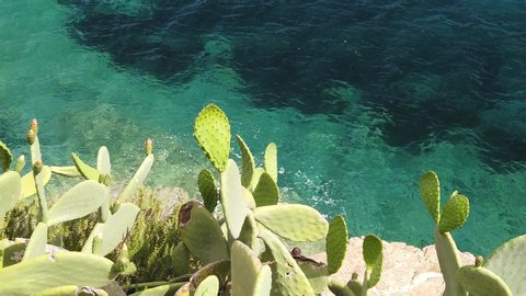 SLOW MOTION: Aerial view of blue seashore with cactus. Marine background of blue Tyrrhenian sea of Elba island in Italy, Porto Azzurro town. Top view of a European sea with the white reef. Copy space.