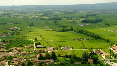 View of Piave area between Prealps and Montello hill with green Prosecco vineyards