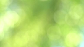 Beautiful sunny green natural 4k abstract video background. Christmas bokeh video background