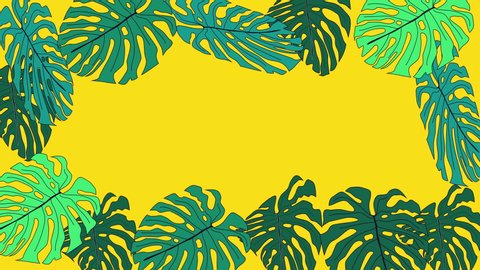 Green monstera and palm leaves forming beautiful frame and colourful yellow and green background. Copy space.