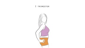 pregnancy trimester. a change in shape during pregnancy. 4k video illustration
