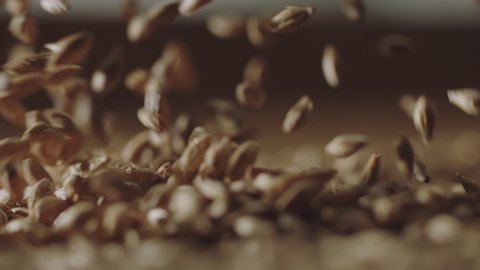 Slow motion shot of malted barley flying in shallow depth of field, shot on Alexa in high frame rate.