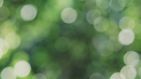 Abstract nature blur background with playful rays of the sun penetrating through the leaves of the trees, creating a very pleasant bookeh effect. Playful animated natural backdrop. 4k footage.