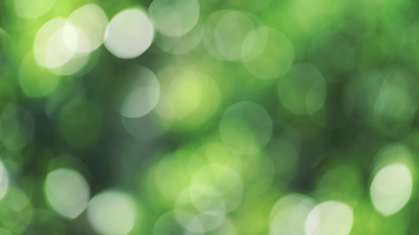 Abstract nature blur background with playful rays of the sun penetrating through the leaves of the trees, creating a very pleasant bookeh effect. Playful animated natural backdrop. Slow motion FullHD.