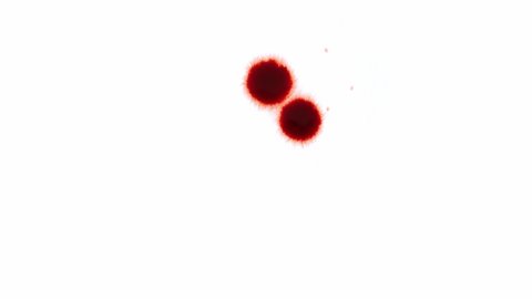 Two drops of red ink or blood drips on white background. Top view, copy space