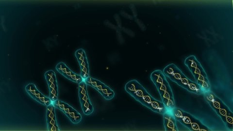 Xx Xy Chromosome Microscopic View Dark Stock Footage Video (100%