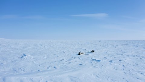 A traditional Inuit or Eskimo is going hunting with his husky dogs and sled driving over endless white and ice towards horizon in the extreme, cold and icy arctic region, north pole