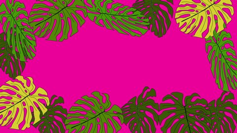 Green monstera and palm leaves forming beautiful frame and colourful magenta, green and yellow background. Copy space.