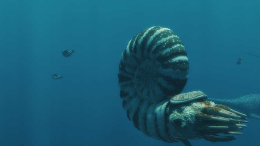 Plesiosaurs migrate in an ocean of ammonites Royalty-Free Stock Footage #1055726741