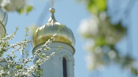 Beautiful spring apple tree flowers blossom against blurred church golden dome rack focus closeup, Christian church domes blooming tree branch blue clear sky on a spring sunny day.