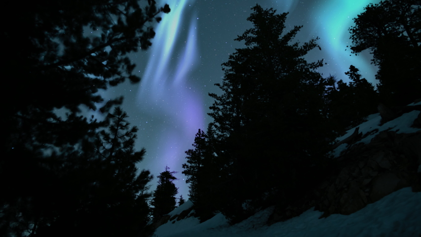 Aurora Purple Over Pine Tree Silhouette 01 Loop | Shutterstock HD Video #1055747861