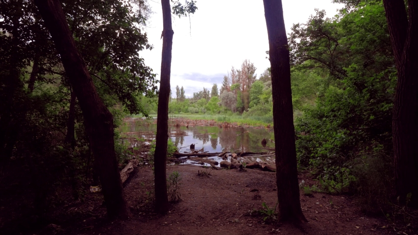 girl travels and goes to the shore of the old lake