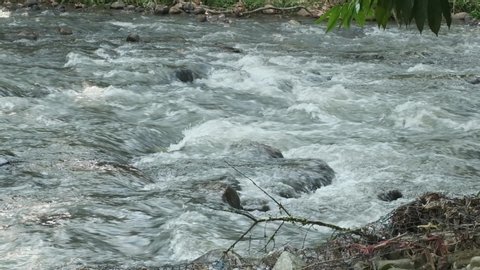 Handheld footage of river flow in Janda Baik, Malaysia. Clean river among tropical rainforest of Malaysia.