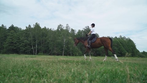 Woman rider on horseback riding in a clearing near the forest, horse walking along a forest path, horsewoman ride on a horse, back view.