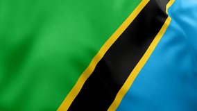 A beautiful view of Tanzania flag video. 3d flag waving video. Tanzania flag HD resolution. Tanzania flag Closeup 1080p Full HD video.